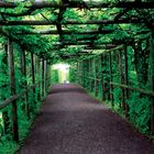 Grüner Tunnel