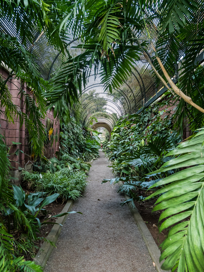 Grüner Tunnel