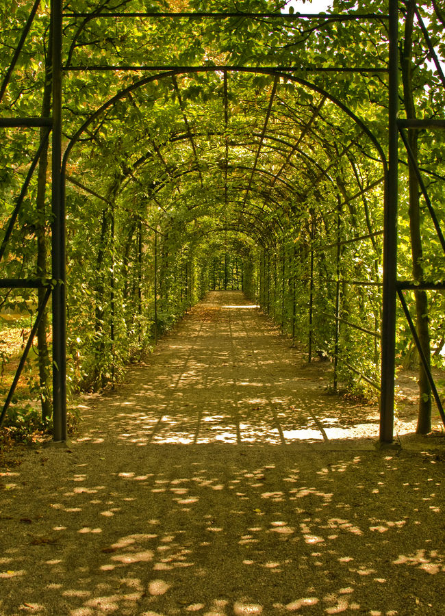 grüner Tunnel