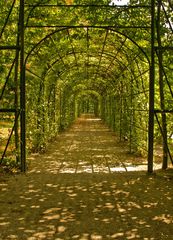 grüner Tunnel