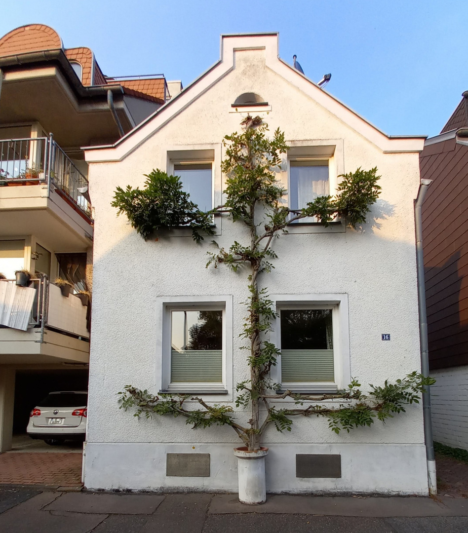 grüner Wandschmuck