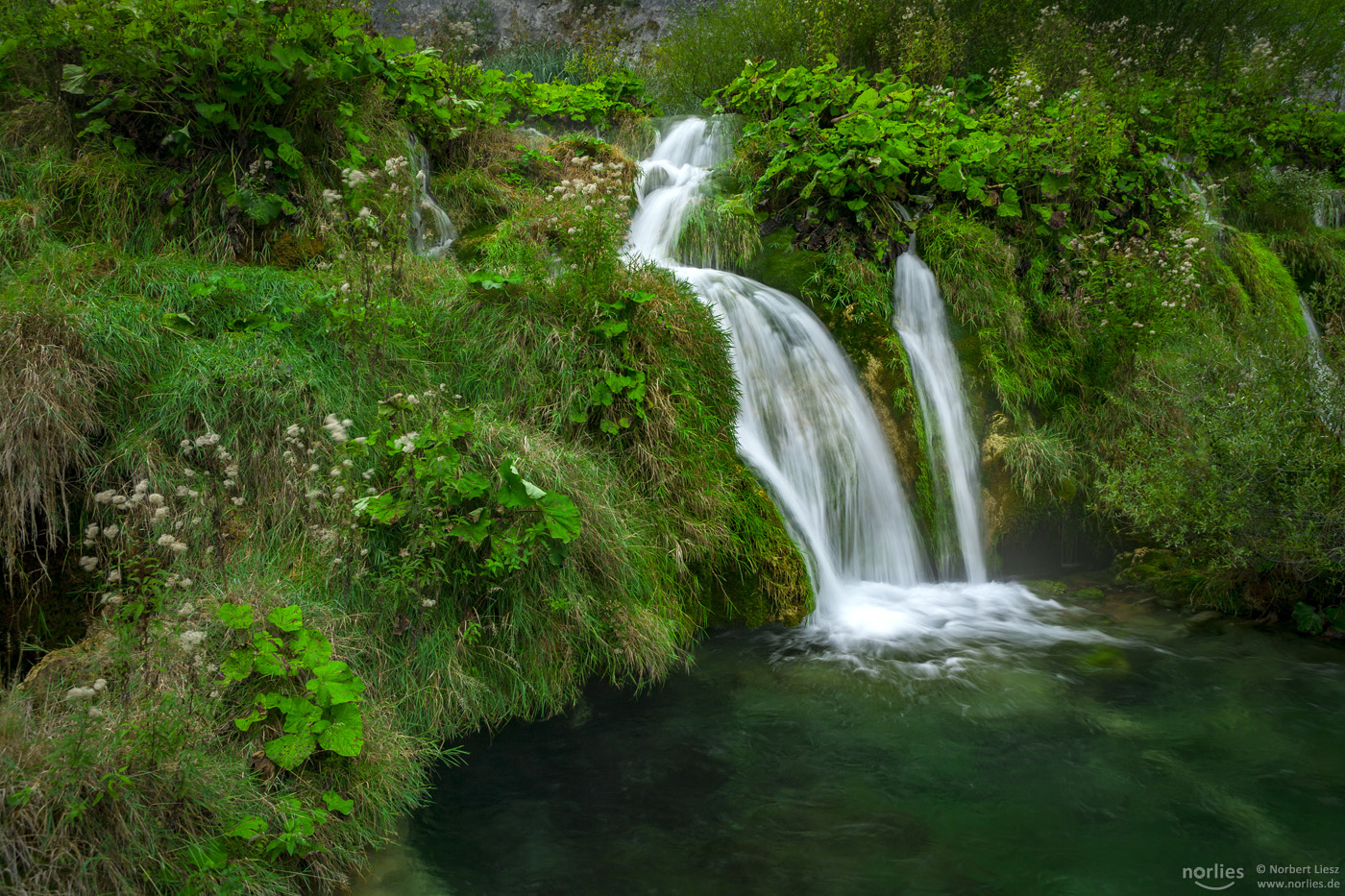 Grüner Wasserfall