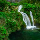 Grüner Wasserfall