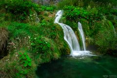 Grüner Wasserfall