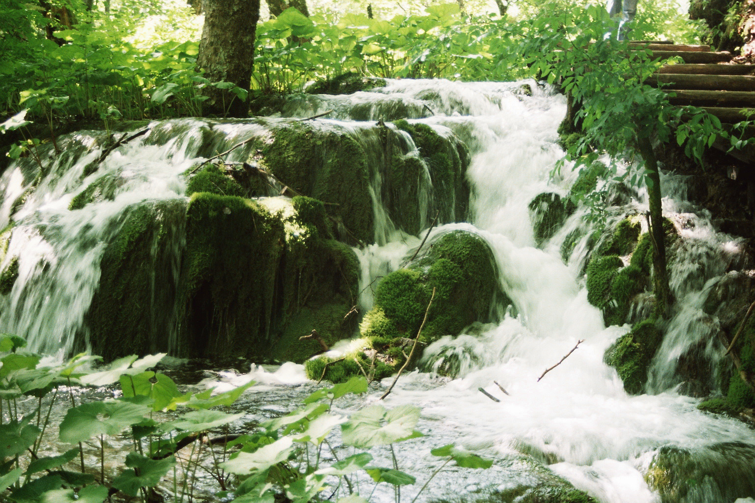 grüner Wasserfall