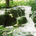 grüner Wasserfall