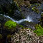 grüner Wasserfall in den Westfjorden