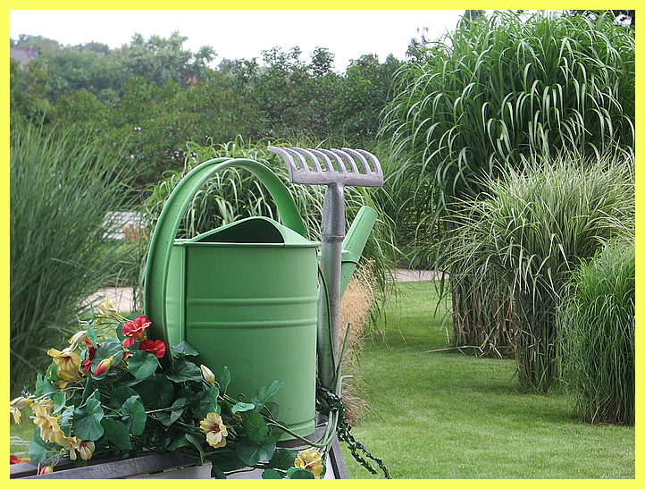 grüner Wasserspender