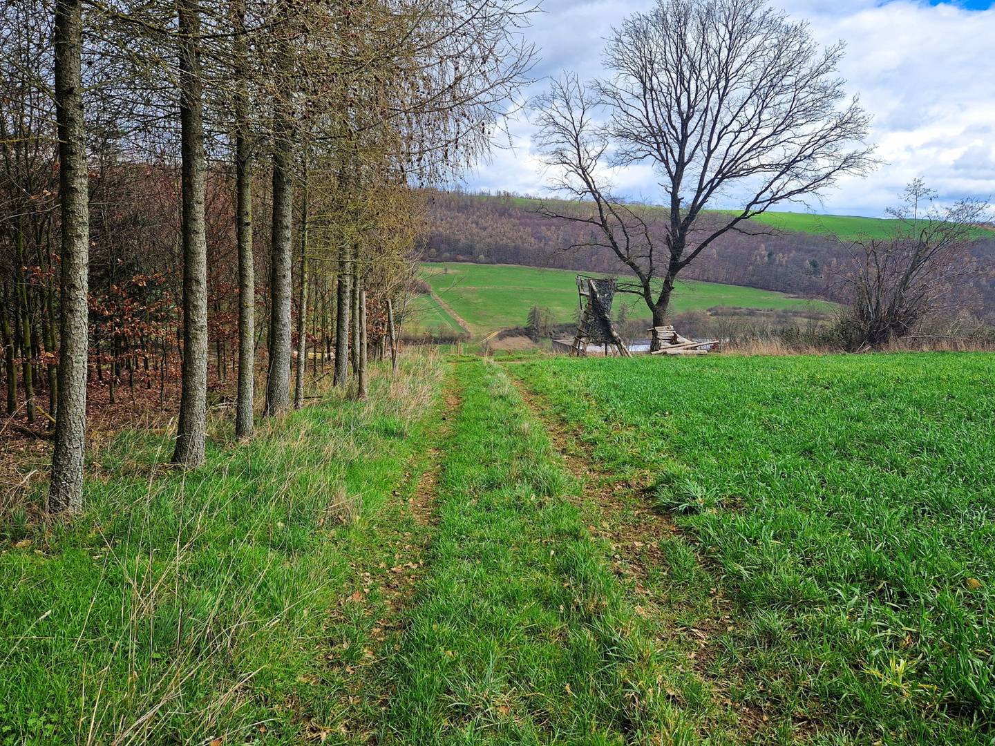 Grüner Weg