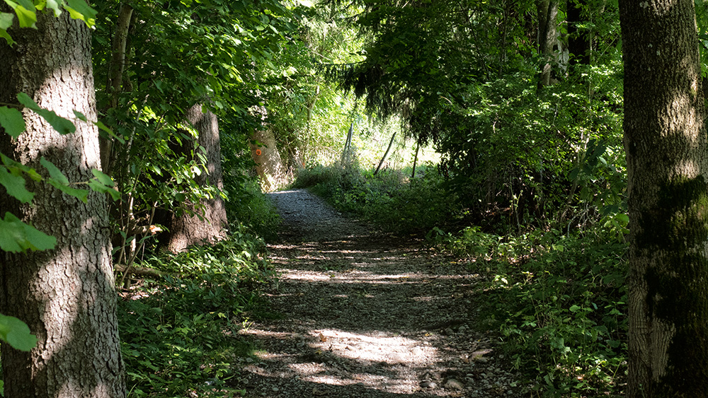 grüner Weg