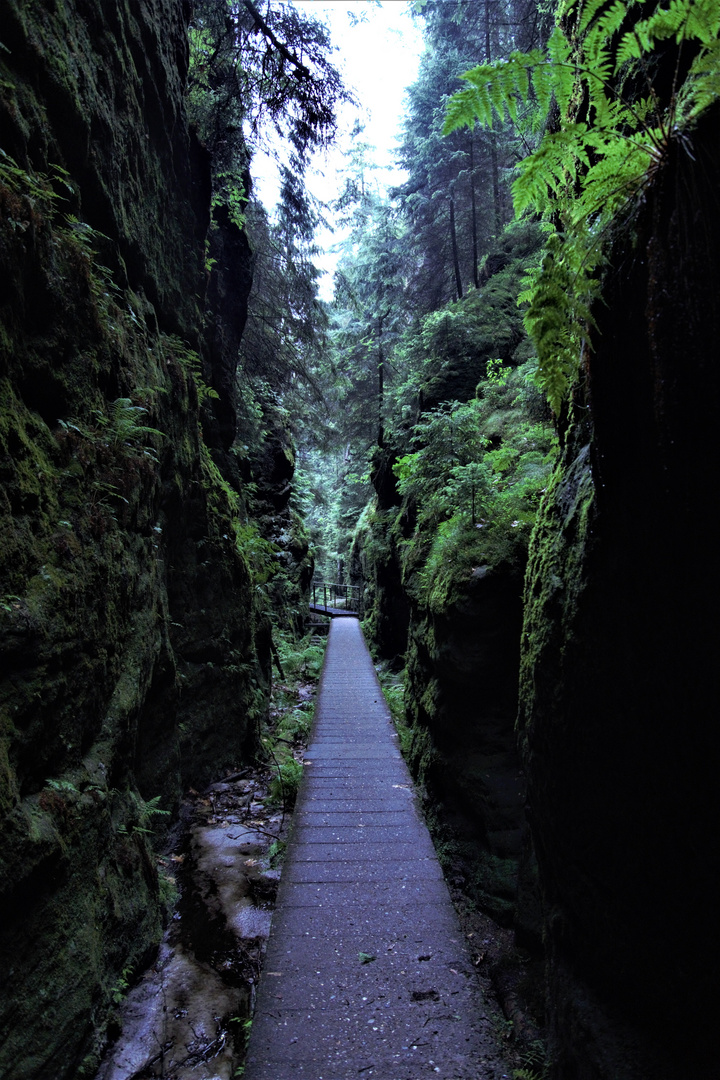 Grüner Weg