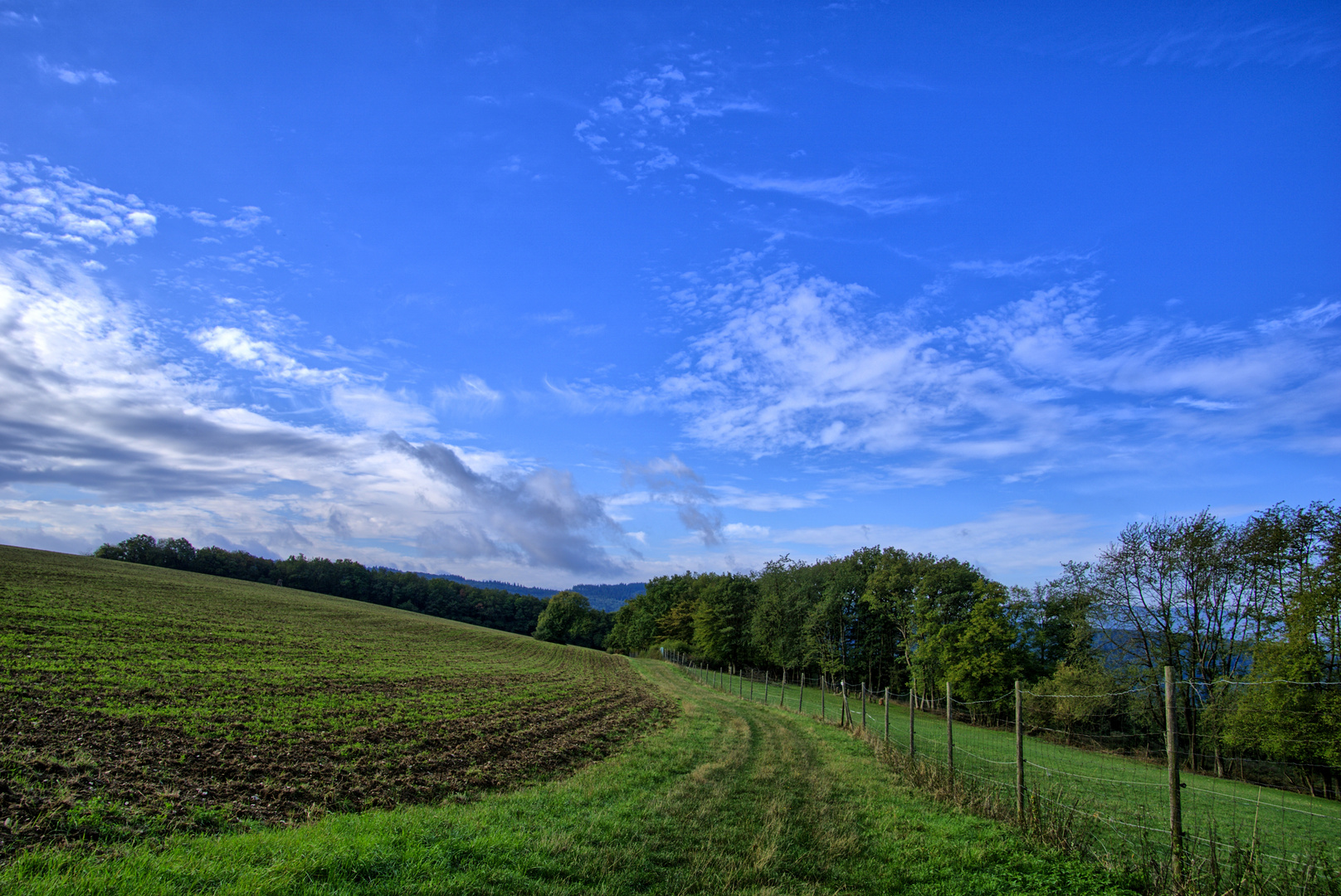 Grüner Weg zwischen Feld und Zaun