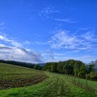 Grüner Weg zwischen Feld und Zaun