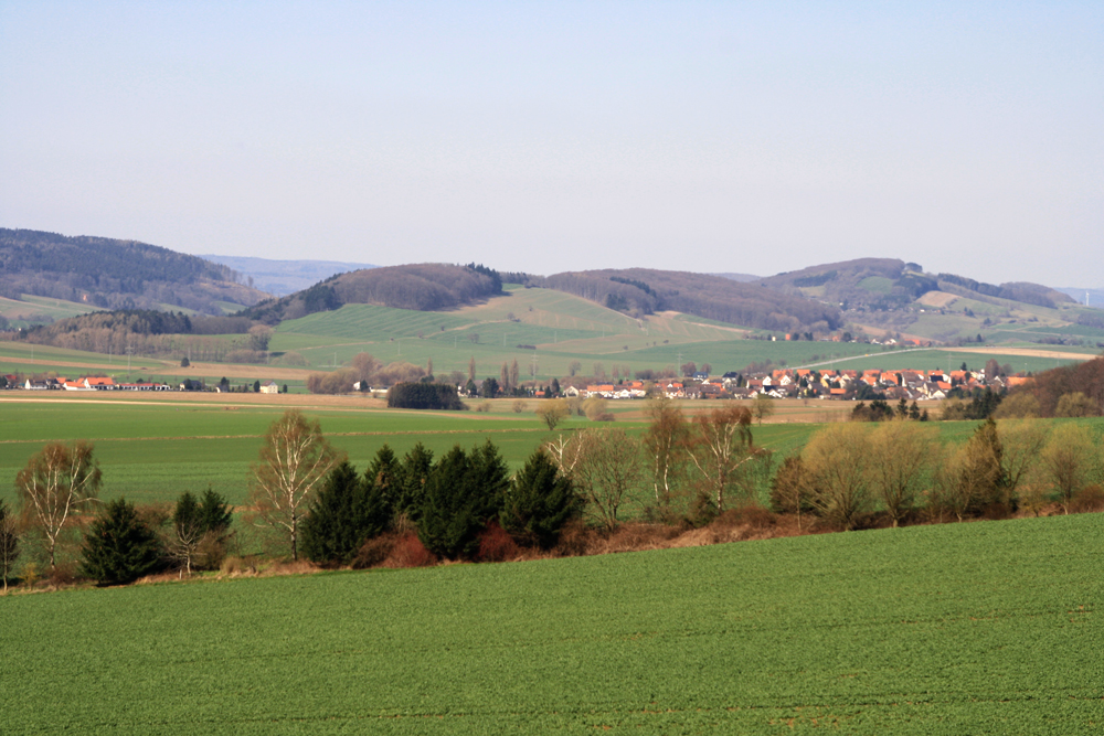 Grüner Weitblick