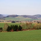 Grüner Weitblick