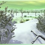 "grüner Winter"