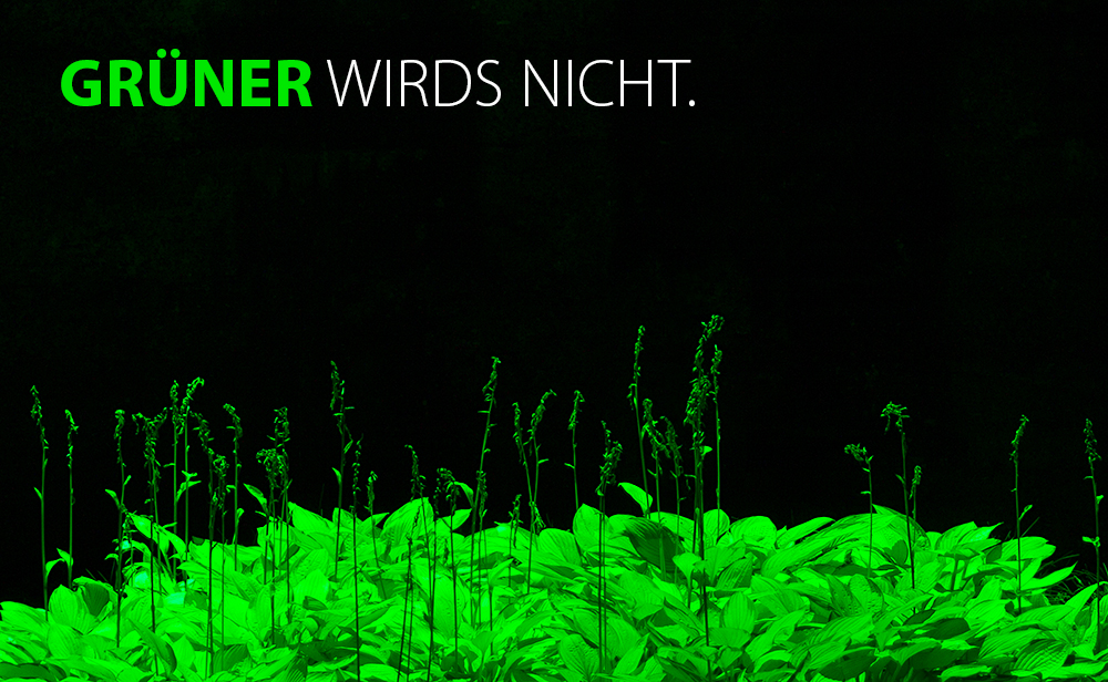 Grüner wird's nicht.