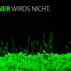 Grüner wird's nicht.