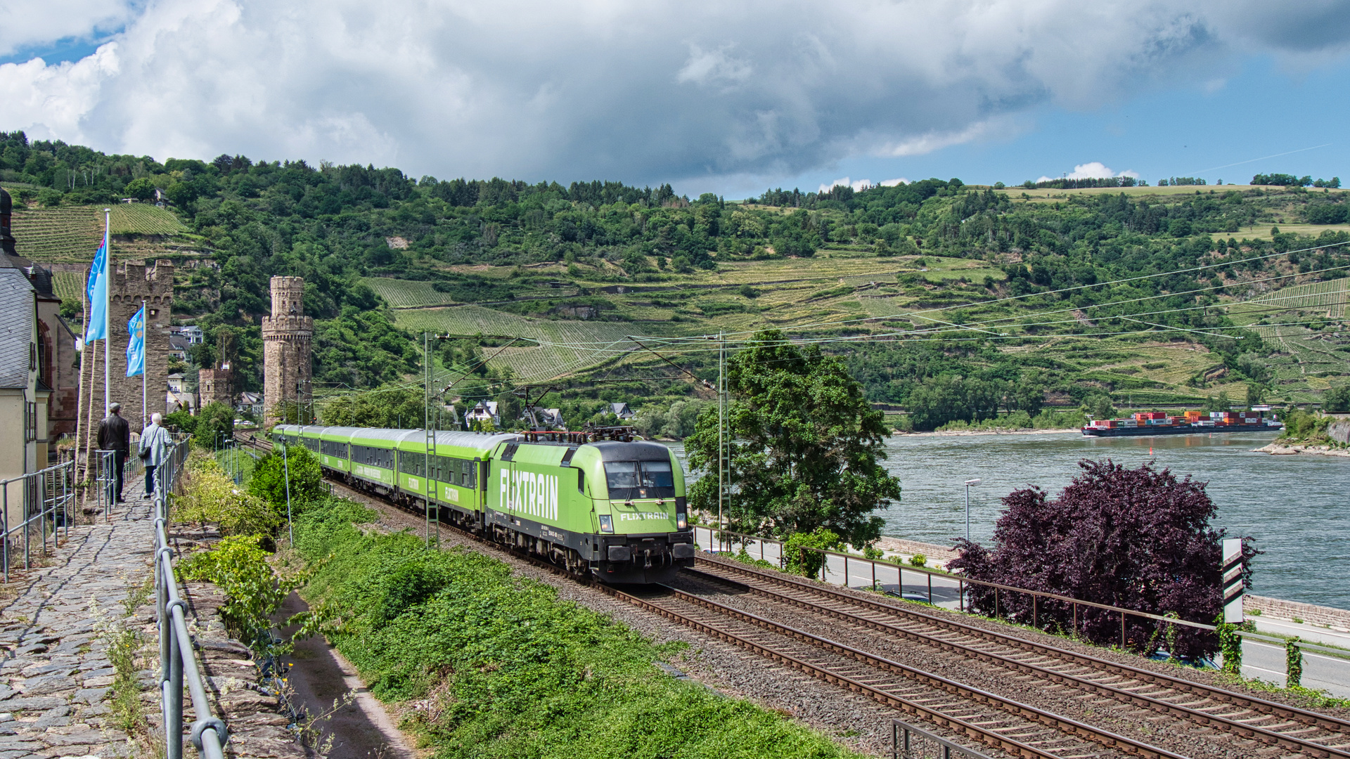 Grüner Zug im Mittelrheintal