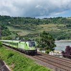 Grüner Zug im Mittelrheintal