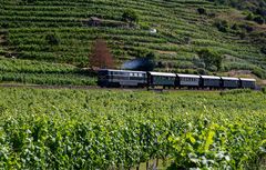 Grüner Zug in einer grünen Landschaft