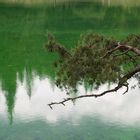 Grünersee_Spiegelung