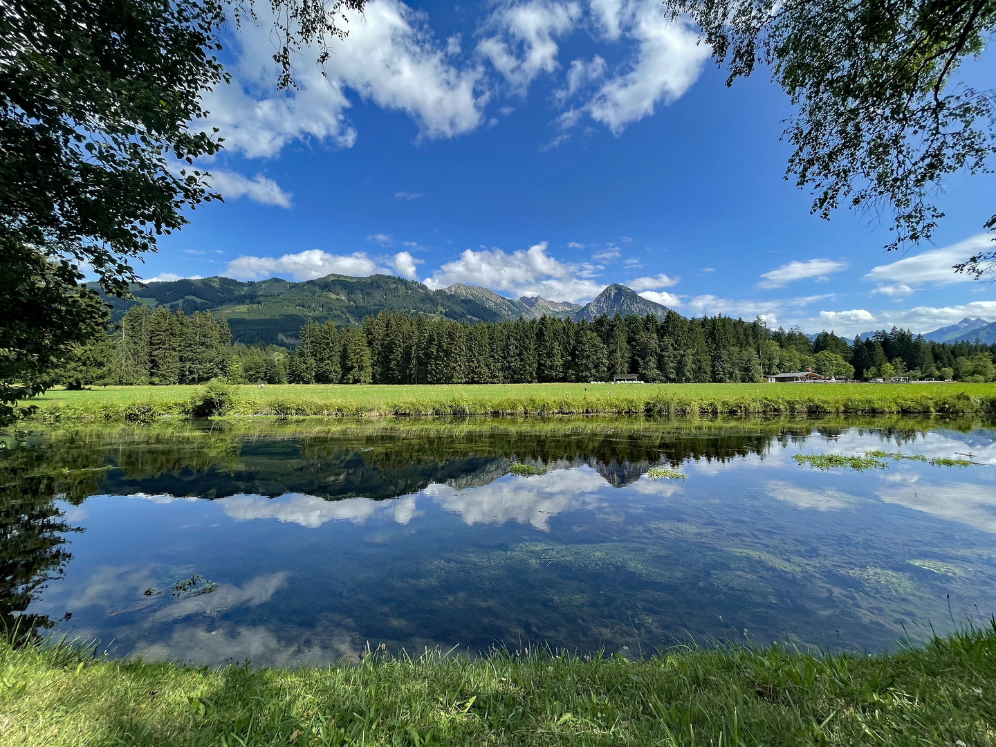 Grünes Allgäu