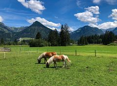 Grünes Allgäu