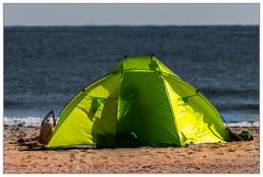 grünes am Südstrand