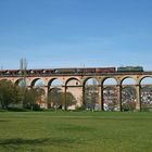 Grünes auf dem Enzviadukt