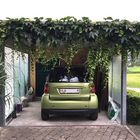 Grünes Auto im Grünen