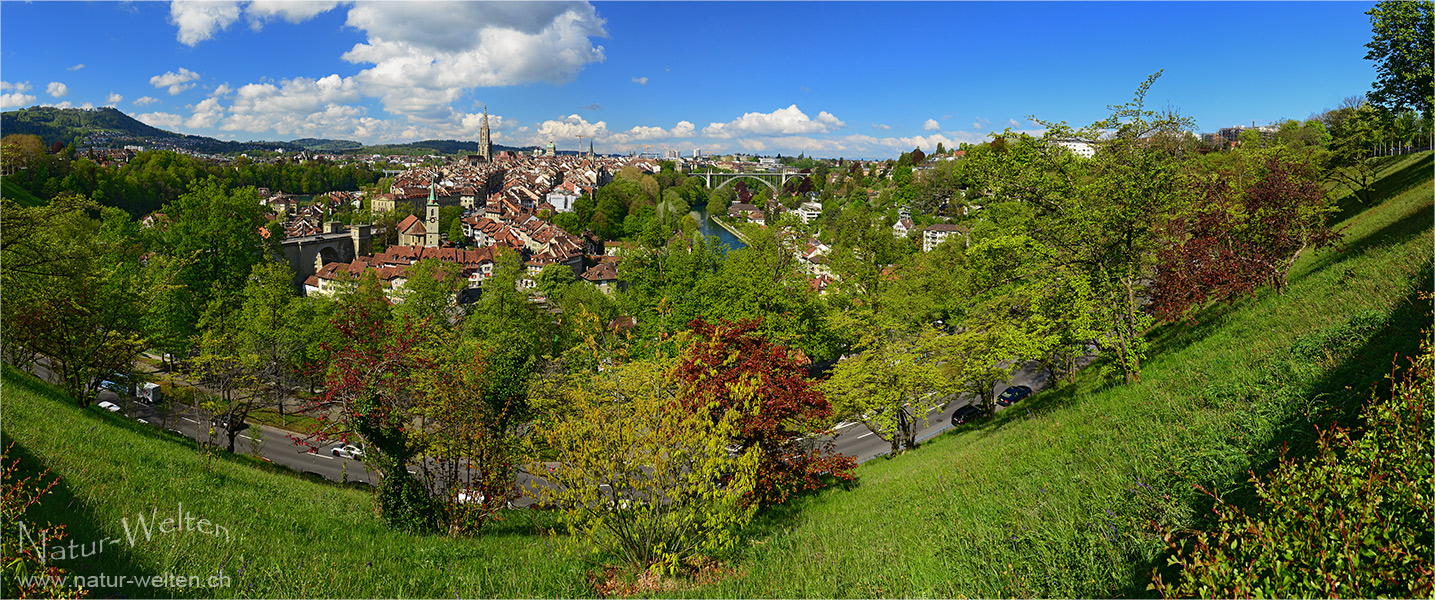 Grünes Bern