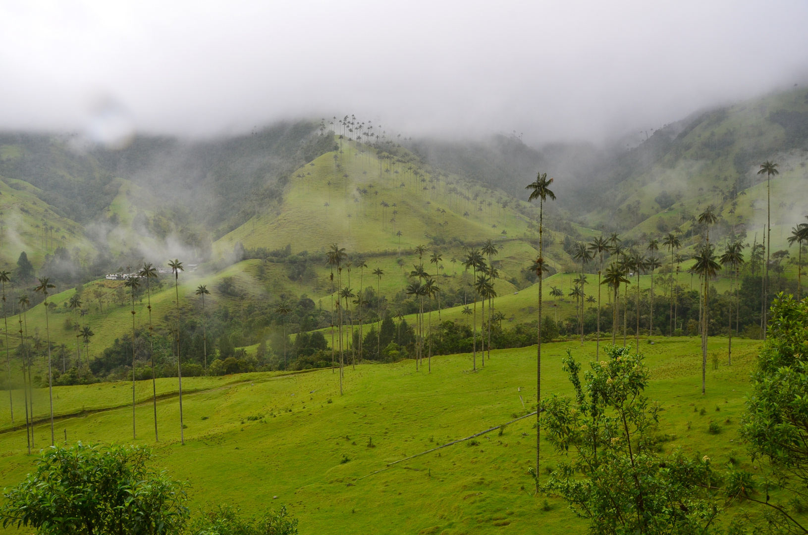 Grünes Colombia