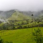 Grünes Colombia