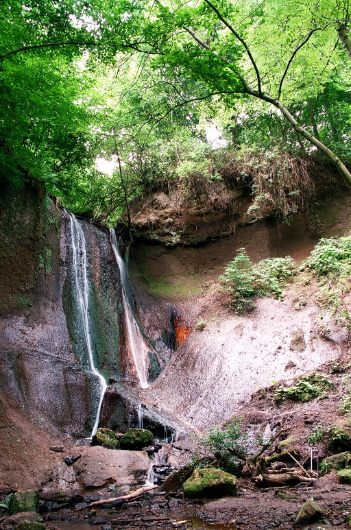 Grünes Dach über der Wolfsschlucht...