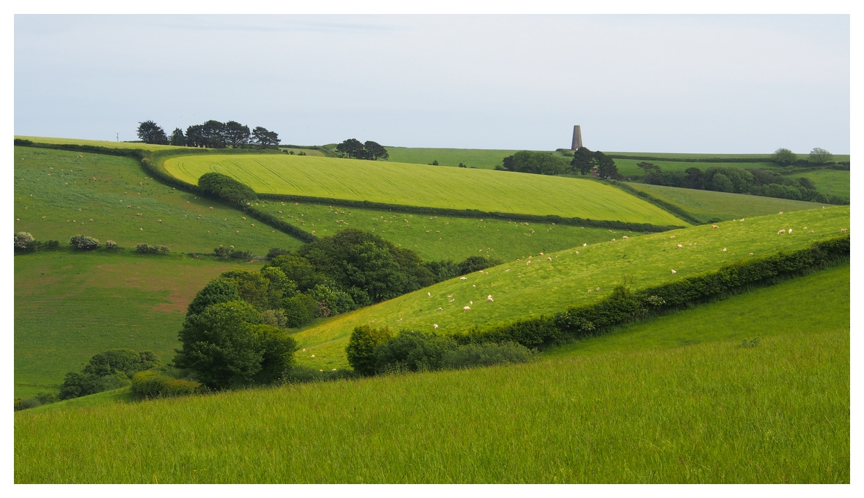 Grünes England