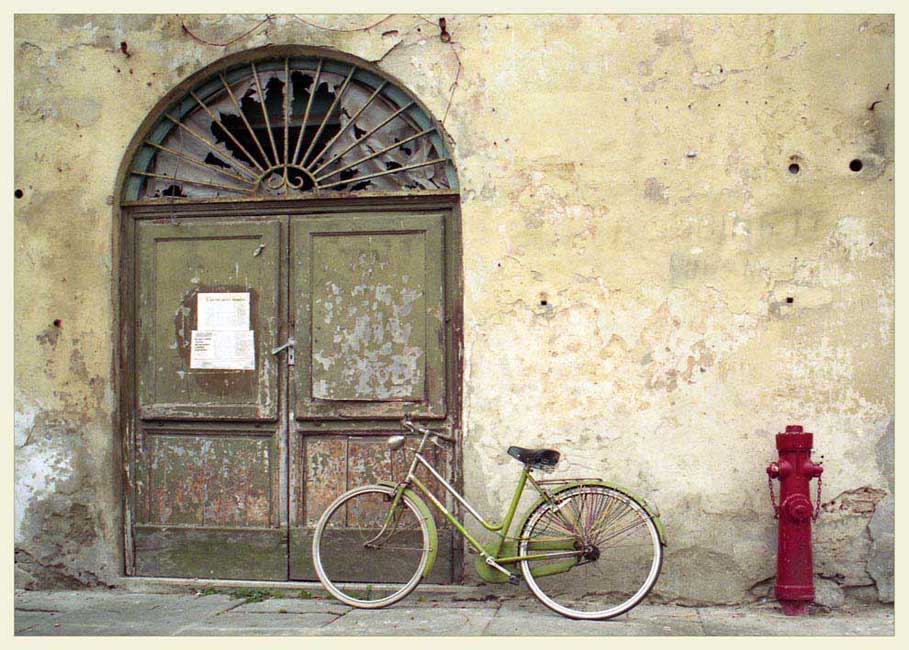 grünes Fahrrad für grüne Mauer