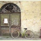 grünes Fahrrad für grüne Mauer