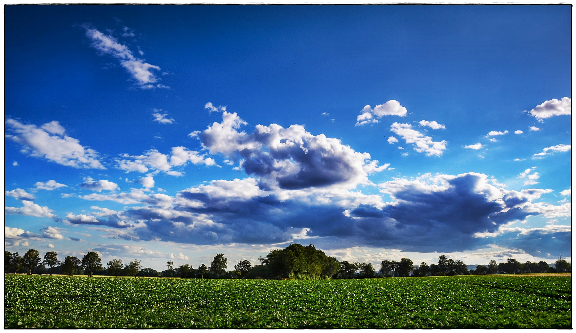 Grünes Feld + blauer Himmel