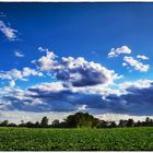 Grünes Feld + blauer Himmel