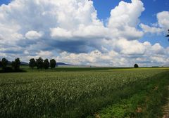 grünes Feld und dicke Wolken