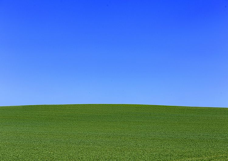 Grün(es Feld) vor blau