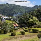 Grünes Furnas Sao Miguel Acores