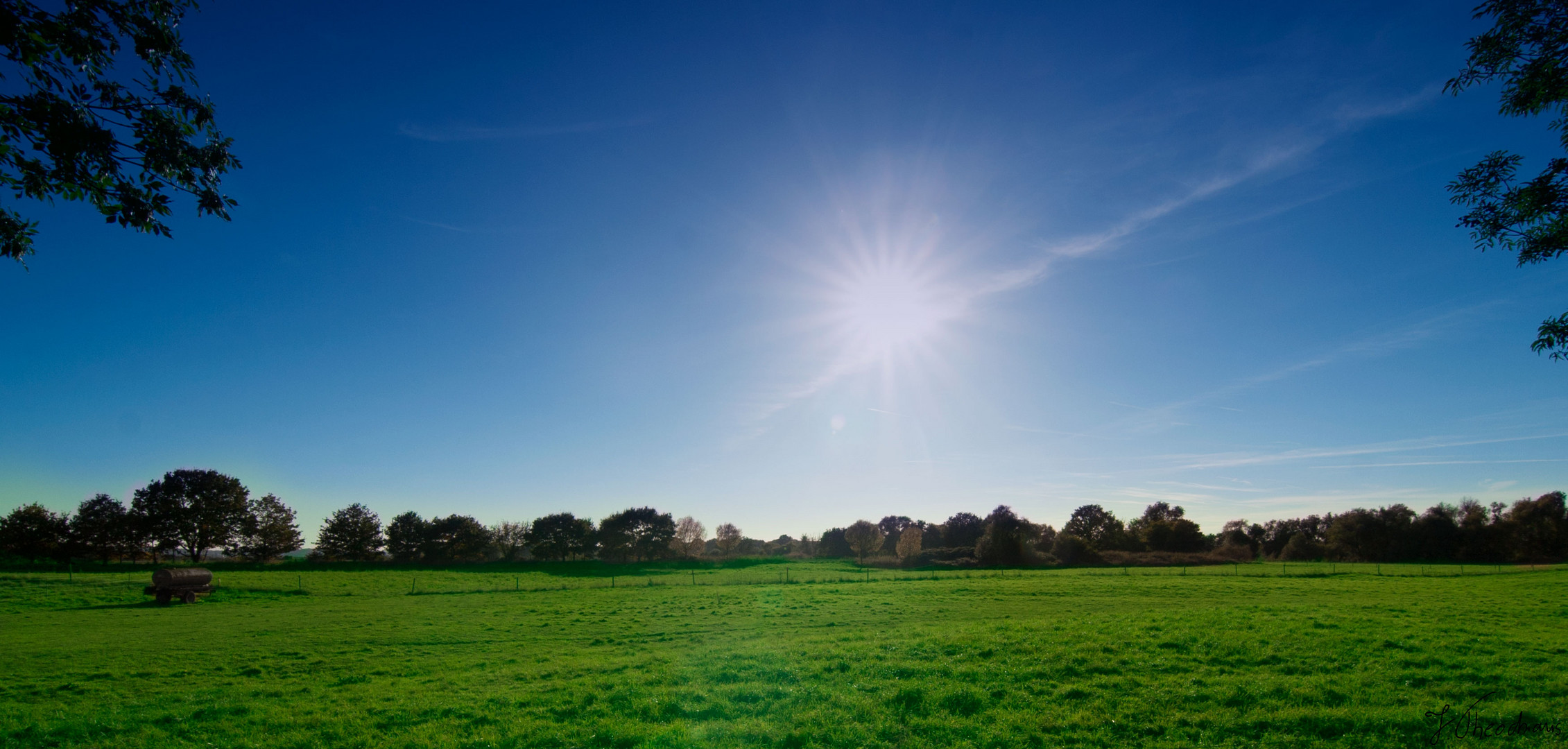 Grünes Gras und blauer Himmel