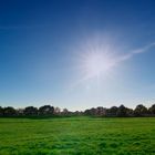 Grünes Gras und blauer Himmel