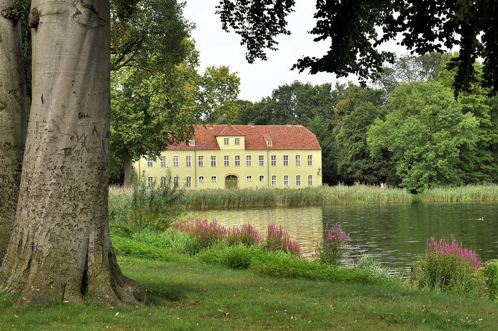 Grünes Haus im Park