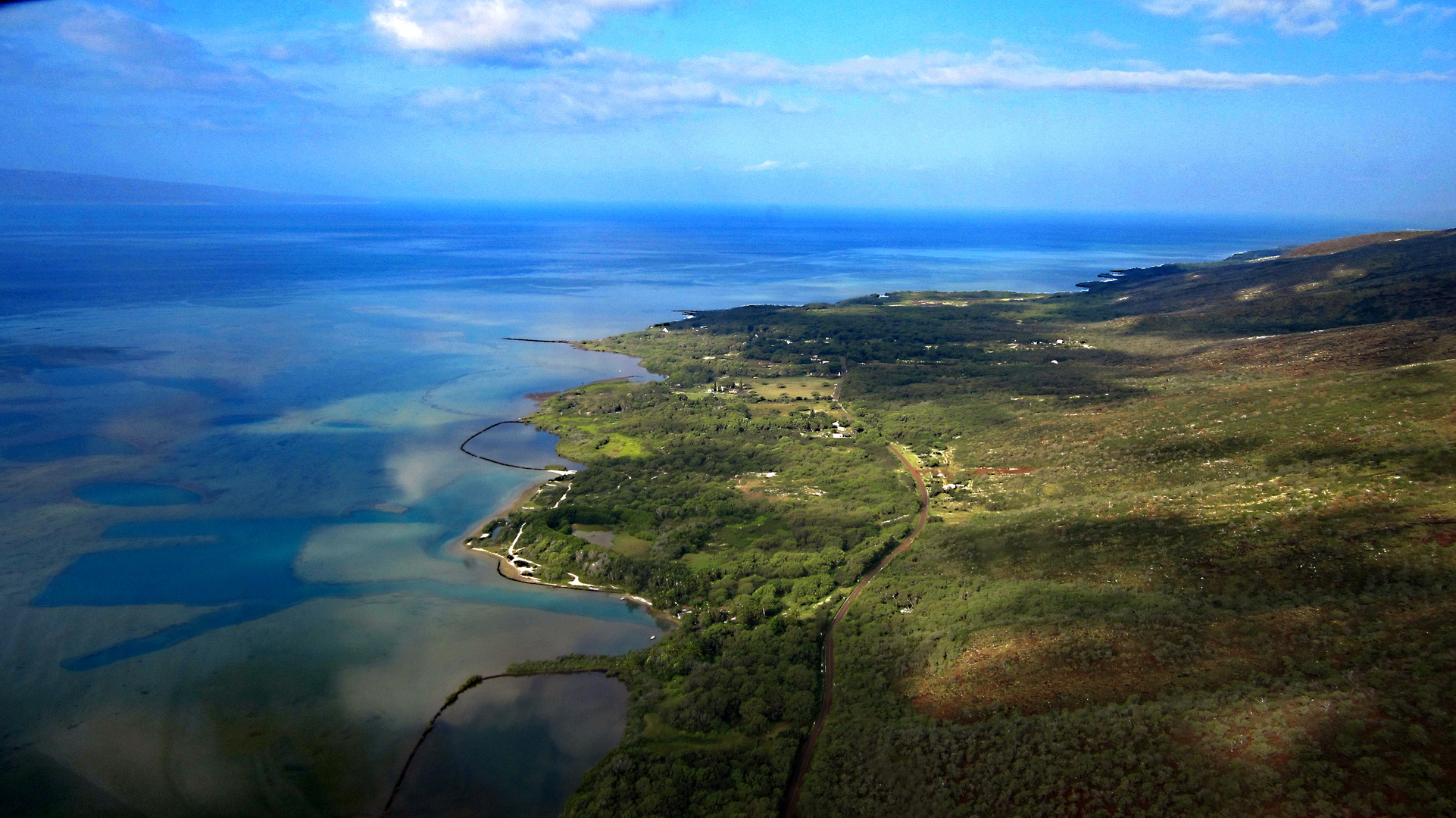 Grünes Hawaii