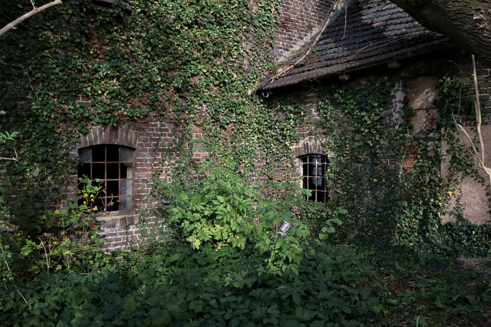 ...grünes Idyll...