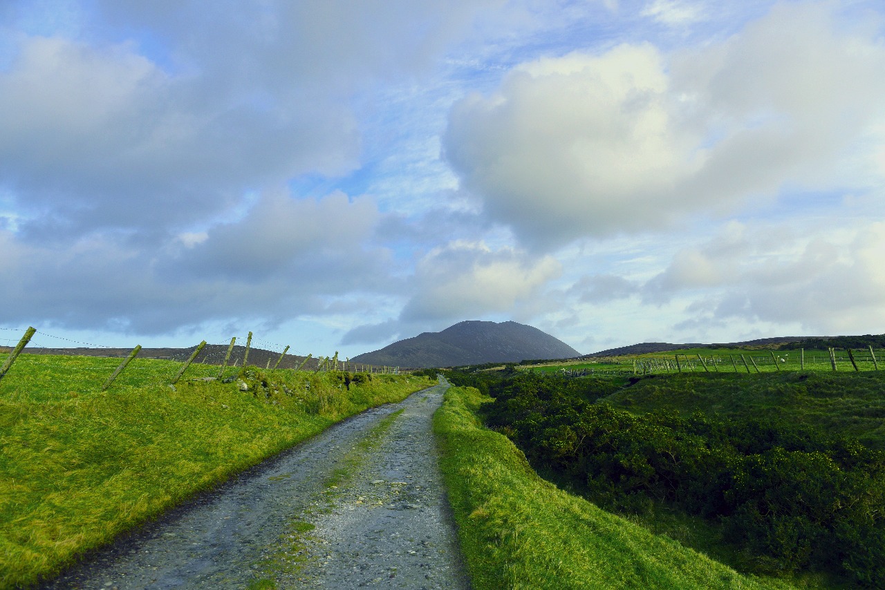 grünes Irland 