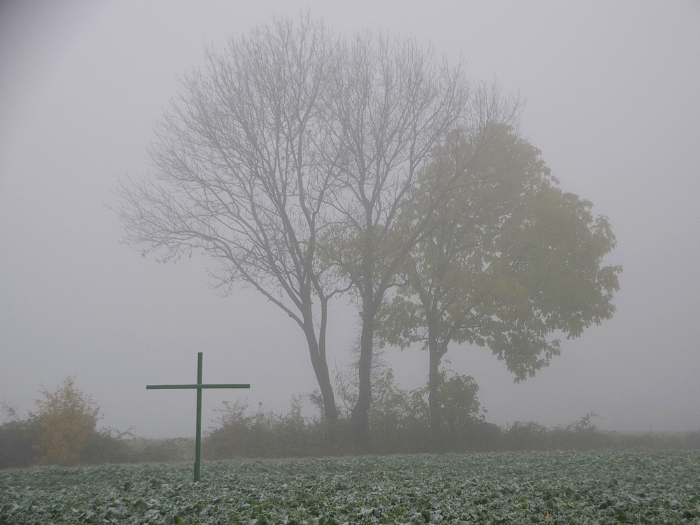 *Grünes Kreuz*